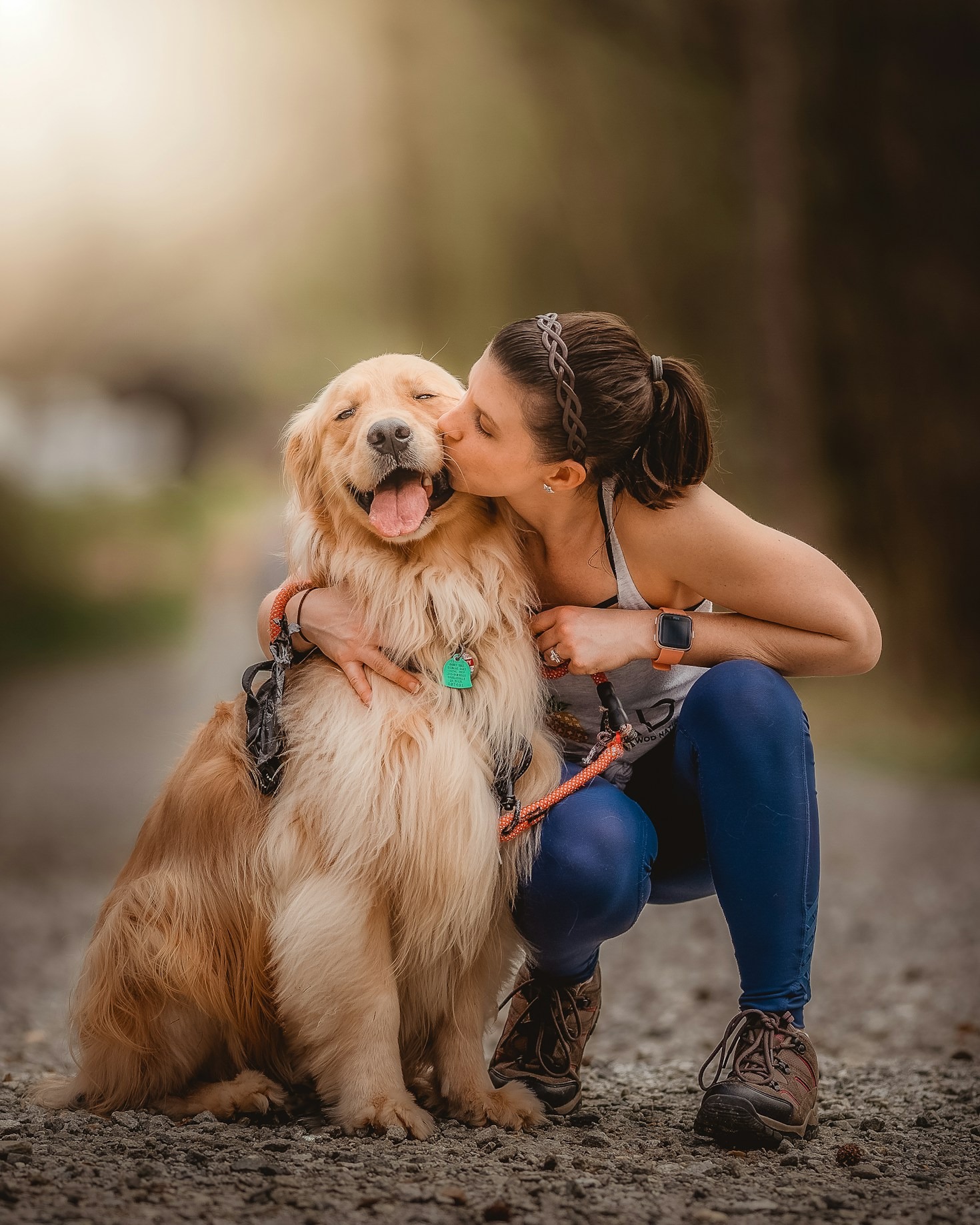 Cómo elegir la mejor alimentación para perros